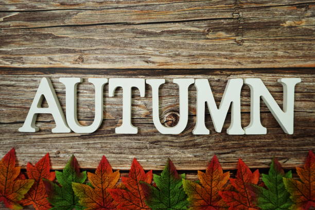 istock Autumn alphabet letter with maple leaves on wooden background 1277324152