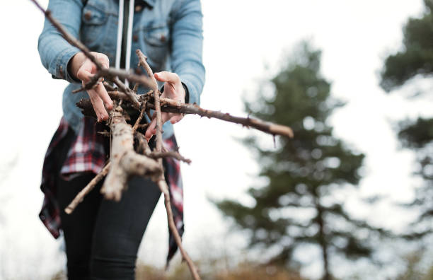 istock Woman collected firewood 1277328201