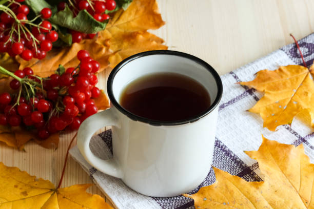 istock Autumn viburnum tea 1277330299