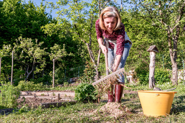 istock Woman Raking Yard in Springtime 1277331374