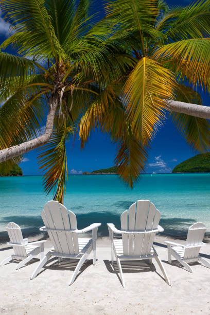 istock Adirondack chairs and palm trees on a tropical beach 1277331879