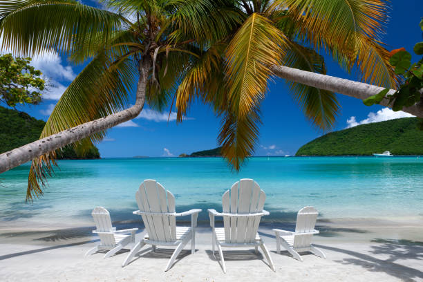 istock Adirondack chairs and palm trees on a tropical beach 1277331882
