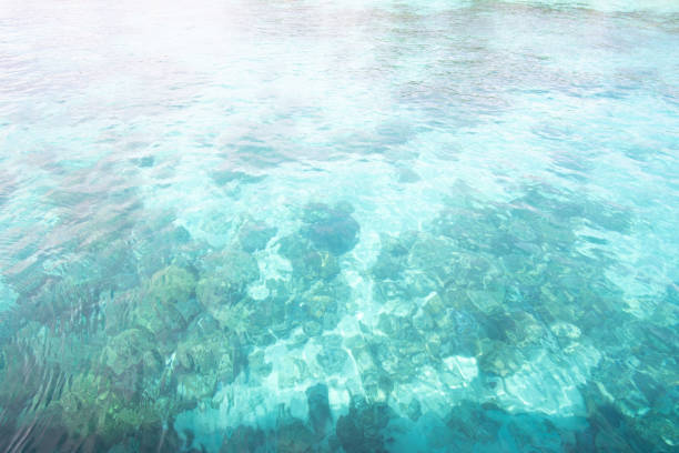 Seawater and clear water