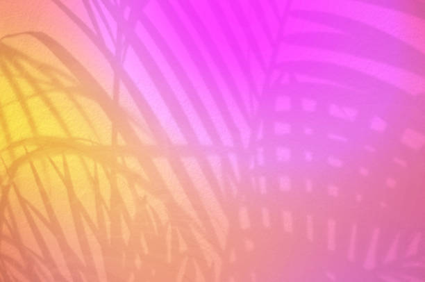 Light and shadow colorfull eaves,palm leaf on grunge white wall concrete background.Silhouette abstract tropical leaf natural pattern for wallpaper, spring ,summer texture.Soft image backdrop. aleros coloridos claros y sombríos, hoja de palma sobre fondo de hormigón de pared blanca grunge. patrón natural abstracto de la hoja tropical de la silueta para el papel pintado, la primavera, la textura del verano. fondo de imagen suave.
