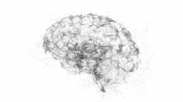 istock Digital data and network connection of human brain isolated on white background 1277335669