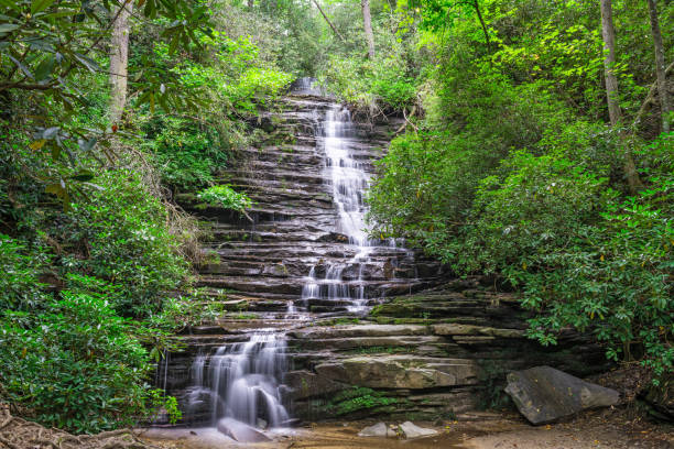 istock Panther Falls in Rabun County, Georgia 1277337449