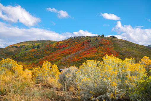 This rural fall scene of the Rio Grande Valley was photographed from Arroyo Seco near Taos, New Mexico, USA.
