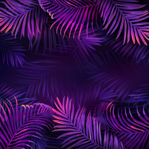 Neon violet tropical party design, Palm jungle leaves nighclub flyer, Summer vibrant night exotic vector illustration, purple bright glow cyberpunk poster, background with place for your text Neon violet tropical party design, Palm jungle leaves nighclub flyer, Summer vibrant night exotic vector illustration, purple bright glow cyberpunk poster, background with place for your text glowing leaves stock illustrations