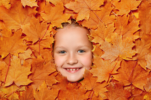 Cute happy little girl face in autumn leaves. Top view of the child.
