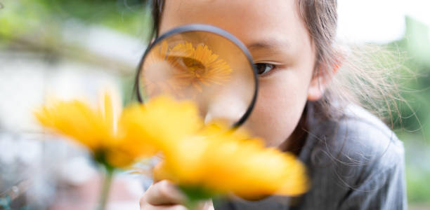 istock Girl looking at flowers with a magnifying glass 1277340914