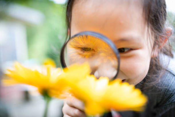 istock Girl looking at flowers with a magnifying glass 1277340922