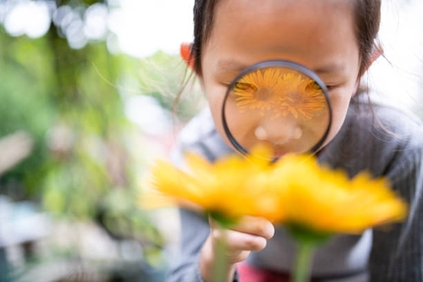 istock Girl looking at flowers with a magnifying glass 1277340993