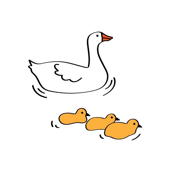 Mother Geese Swimming With Cute Little Baby Goslings Stock Illustration -  Download Image Now - iStock