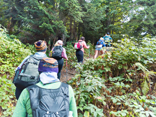 istock Group of tourists on trekking in forest 1277343452