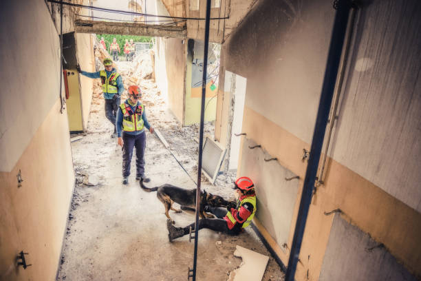 istock rescuer search with help of rescue dog 1277343934