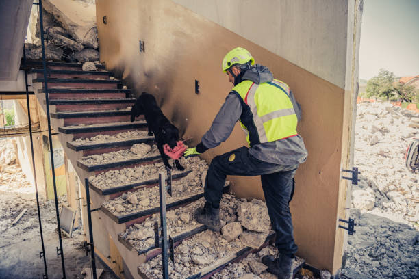 istock rescuer search with help of rescue dog 1277345345