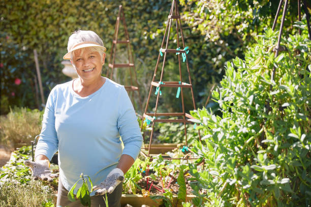 feliz jubilada mujer mayor jardinería en el patio trasero - planting clothing gray hair human age fotografías e imágenes de stock