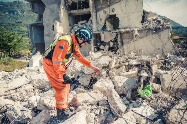 rescuer search with help of rescue dog Rescuer search trough ruins of building with help of rescue dog. search and rescue dog photos stock pictures, royalty-free photos & images