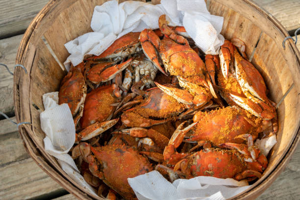 Basket full of steamed crabs Wooden basket full of steamed blue crabs crab seafood photos stock pictures, royalty-free photos & images