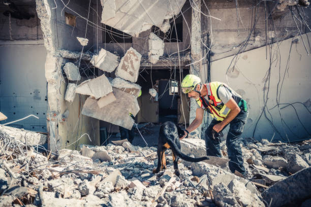 istock rescuer search with help of rescue dog 1277345849