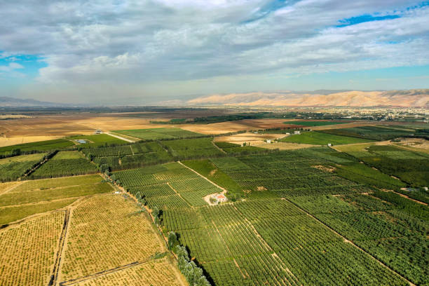 bekaa valley - baalbek imagens e fotografias de stock