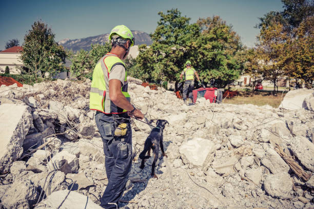 istock rescuer search with help of rescue dog 1277346927