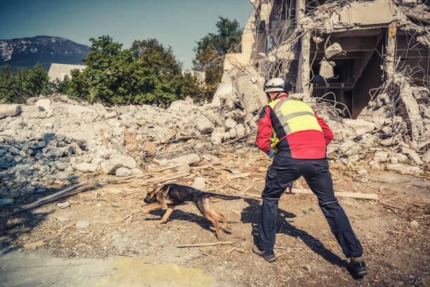 istock rescuer search with help of rescue dog 1277347130