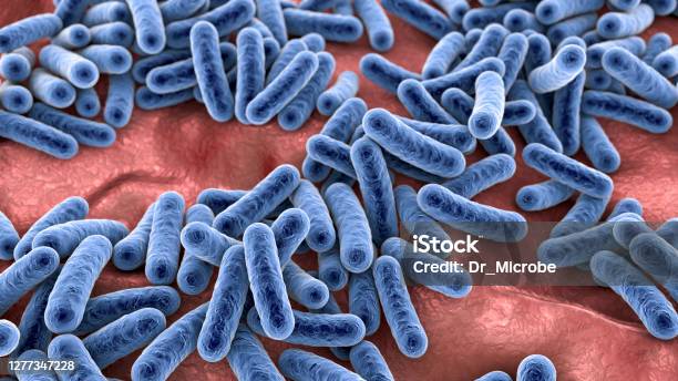 Bacteria Human Microbiome Stock Photo - Download Image Now - Microbiome, Bacterium, Intestine