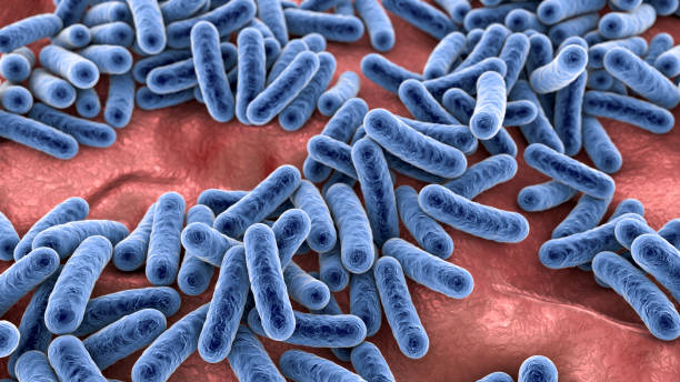 bakterie mikrobiomu ludzkiego - bacterium e coli pathogen micro organism zdjęcia i obrazy z banku zdjęć