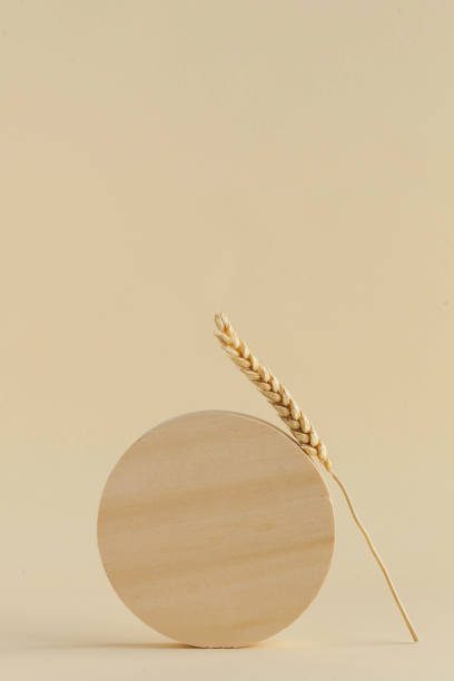 istock A wooden circle and a wheat spike on a beige background. Minimalistic, stylish, trendy concept. Copy space. 1277347325