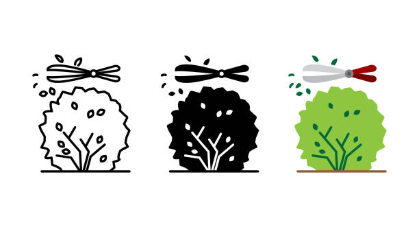 illustrations, cliparts, dessins animés et icônes de icône de couverture - brise vent