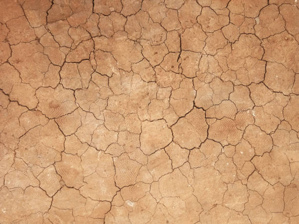 istock The ground has cracks in the top view for the background or graphic design 1277347418