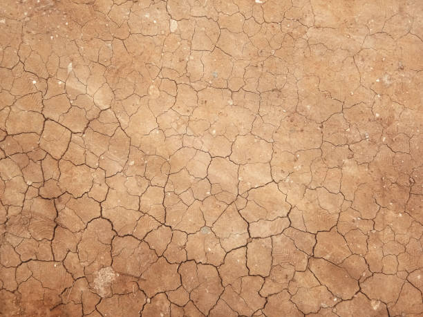 istock The ground has cracks in the top view for the background or graphic design 1277348007