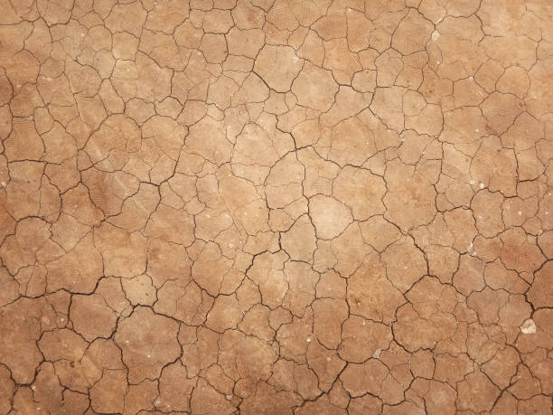 istock The ground has cracks in the top view for the background or graphic design 1277348081