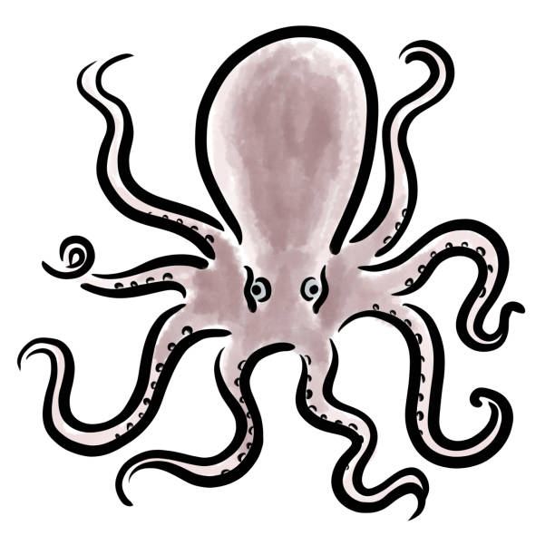 baby octopus illustration A baby octopus illustration tako stock illustrations