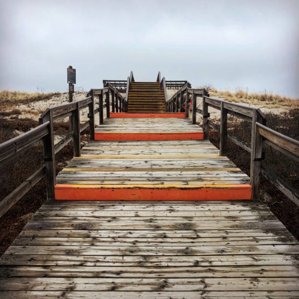 Wooden Stairs Leading to Ocean stock photo