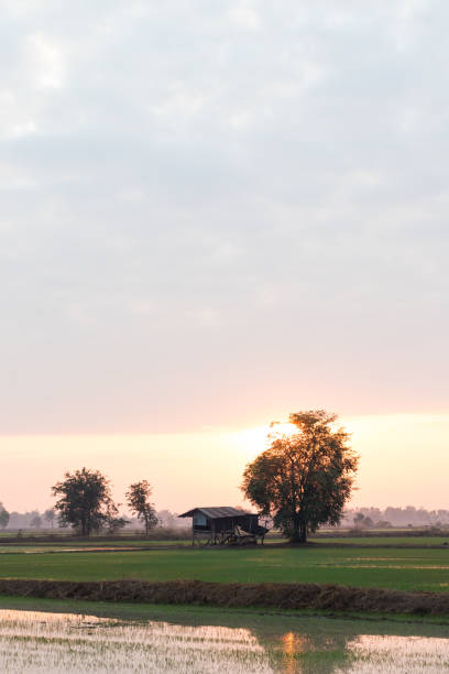 istock Morning sunrise with trees near the cottage. 1277355253