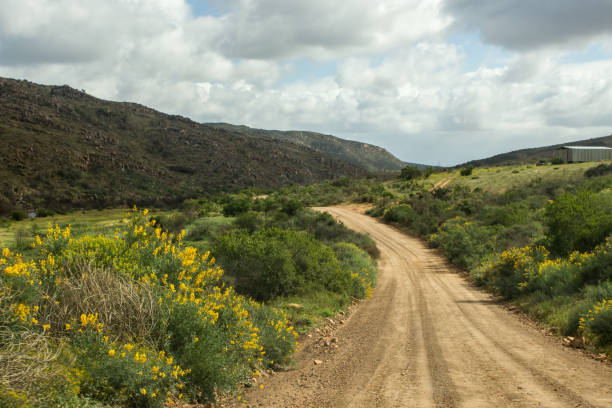 Road winding through the Cederberg foothills A dirt road winding through the fynbos scrubs in the Cederberg foothills, in South Africa, during an early spring morning cederberg mountains photos stock pictures, royalty-free photos & images