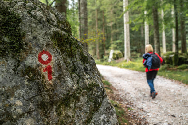 istock Directional sign on a rock in forest 1277356722