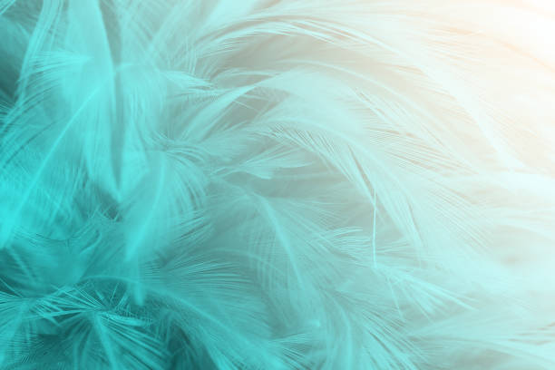 istock green turquoise colored vintage color trends feather texture background 1277356961