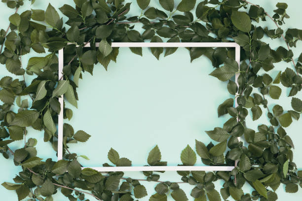 istock Abstract composition with green leaves and white frame. Creative nature layout 1277359771