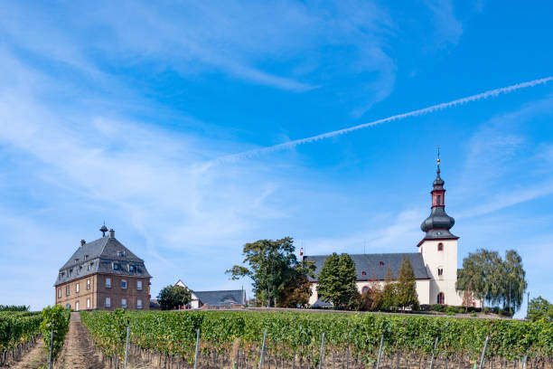 historic Nierstein church in the vineyard historic Nierstein church in the green vineyard nierstein stock pictures, royalty-free photos & images