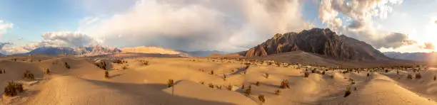 beautiful Mesquite flats in the death valley desert in sunset light