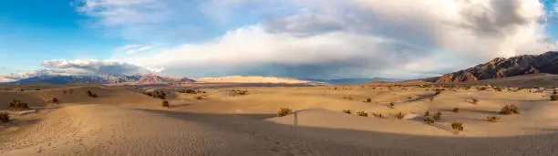 beautiful Mesquite flats in the death valley desert in sunset light