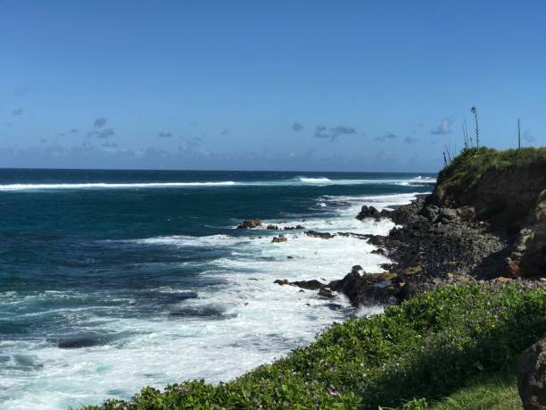 istock Honokalani Beach in Hana 1277363795