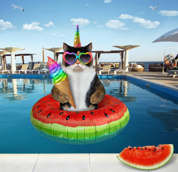 istock Caticorn eats ice cream in pool at resort 1277368728