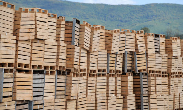 istock Big Wooden Crates prepared for harvesting Apples 1277370851
