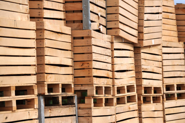 istock Big Wooden Crates prepared for harvesting Apples 1277370855