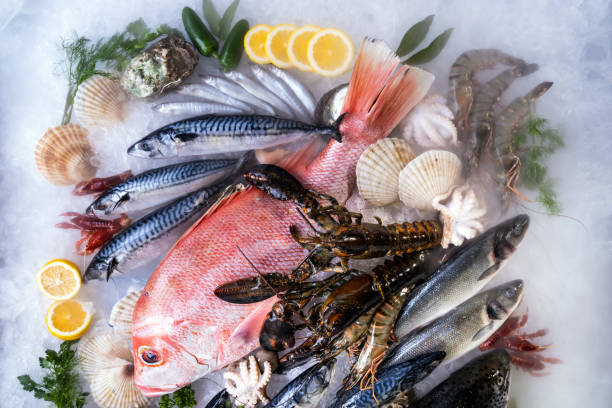 istock Fresh seafood on ice background. 1277371360