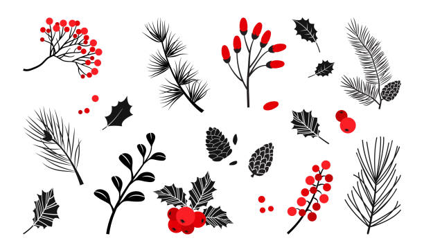 illustrations, cliparts, dessins animés et icônes de plantes vectorielles de noël, baies de houx, arbre de noël, pin, branches de feuilles, décoration de vacances, symboles d’hiver isolés sur fond blanc. couleurs rouge et noir. illustration de nature de cru - sorbe